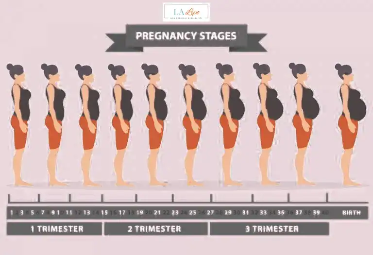 First Trimester (Weeks 1–12): Early Changes You Might Not Notice Walham Green